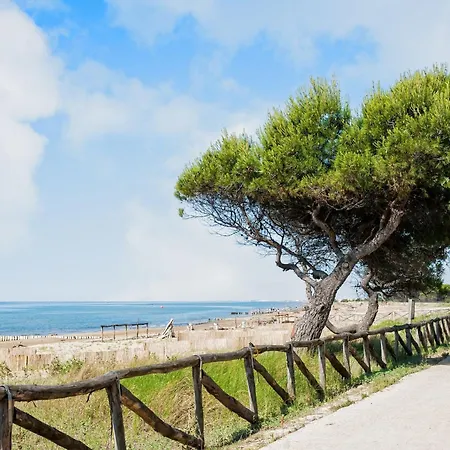 Stunning Sea View Flat With Terrace 아파트 비비오네